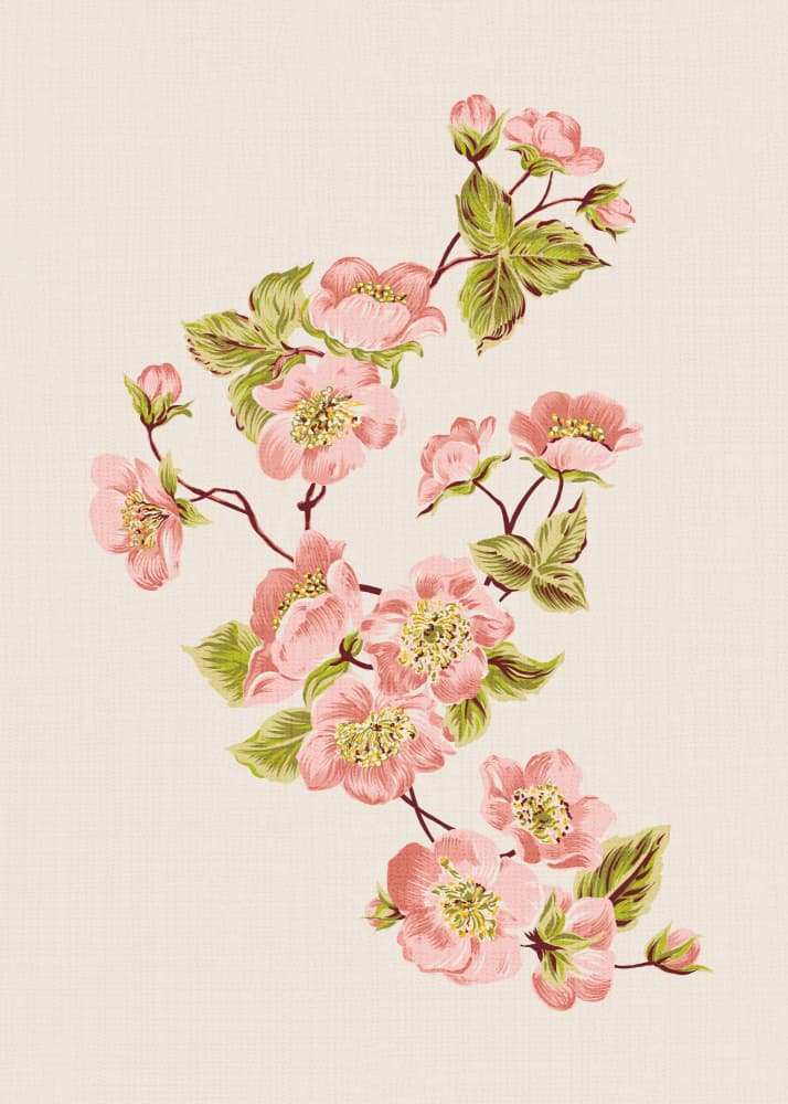 Delicate Pink Blossoms by Alexandra Weise — canvas wall art