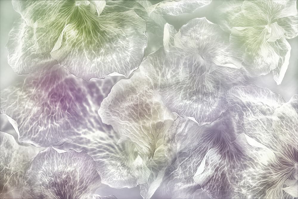 Dreamy Pastel Flowers by Ludmila Shumilova — canvas wall art