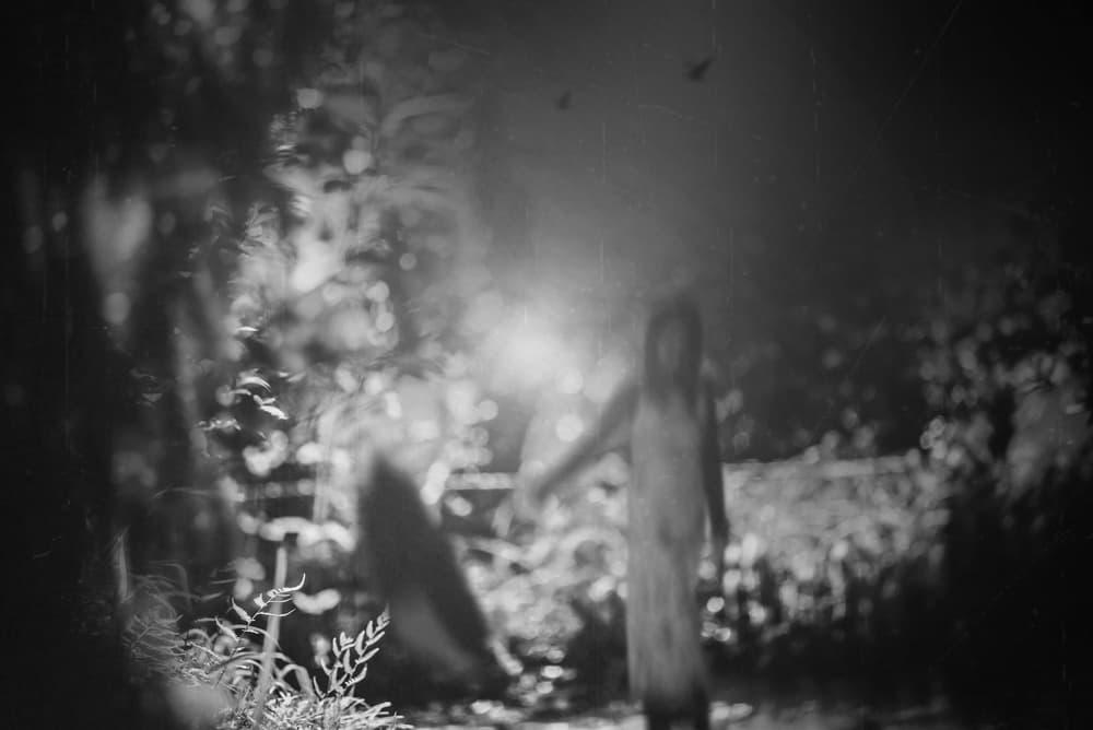 Haunted Forest Ghost by Teruhiko Tsuchida — canvas wall art
