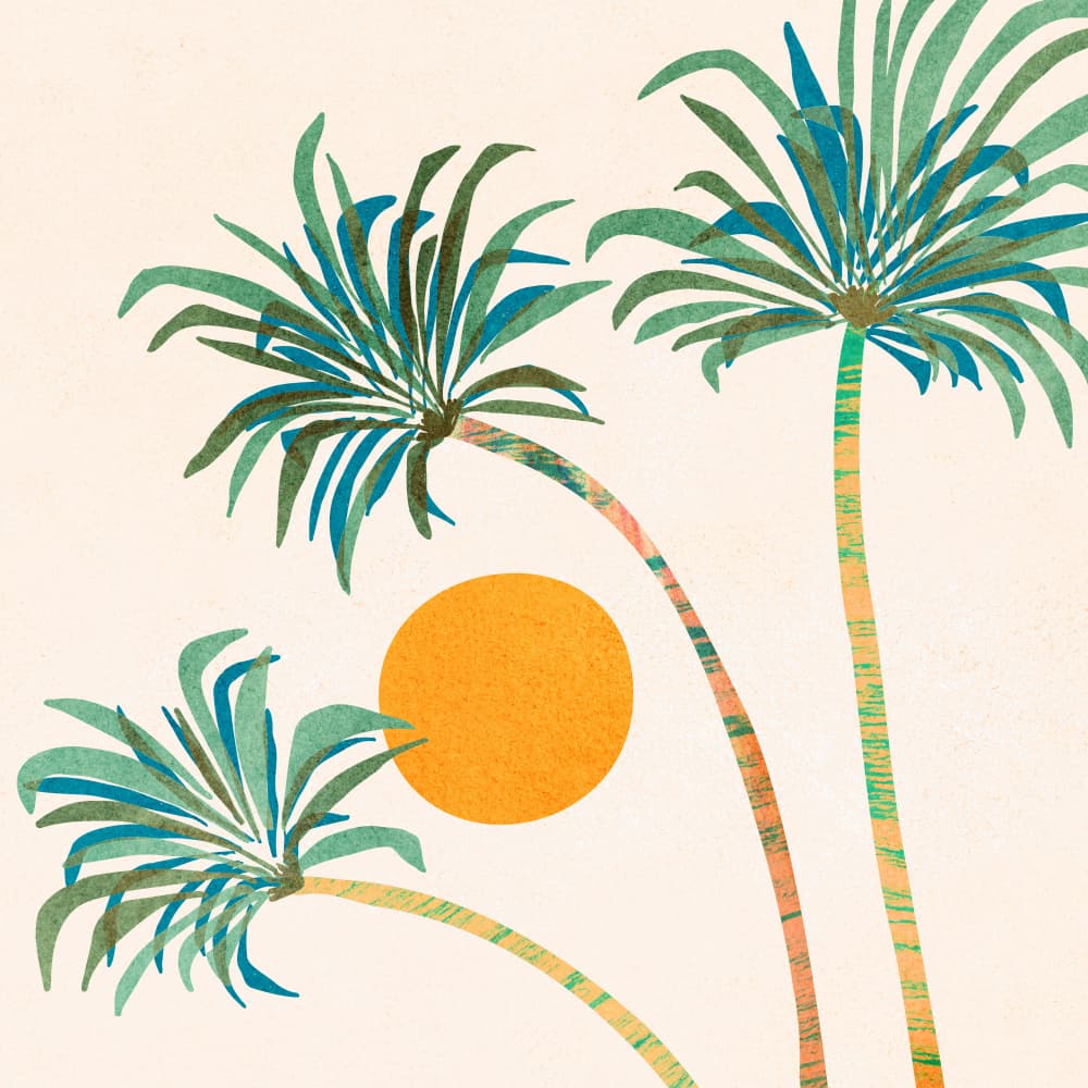 Socal Palms 3 by Kristian Gallagher — canvas wall art