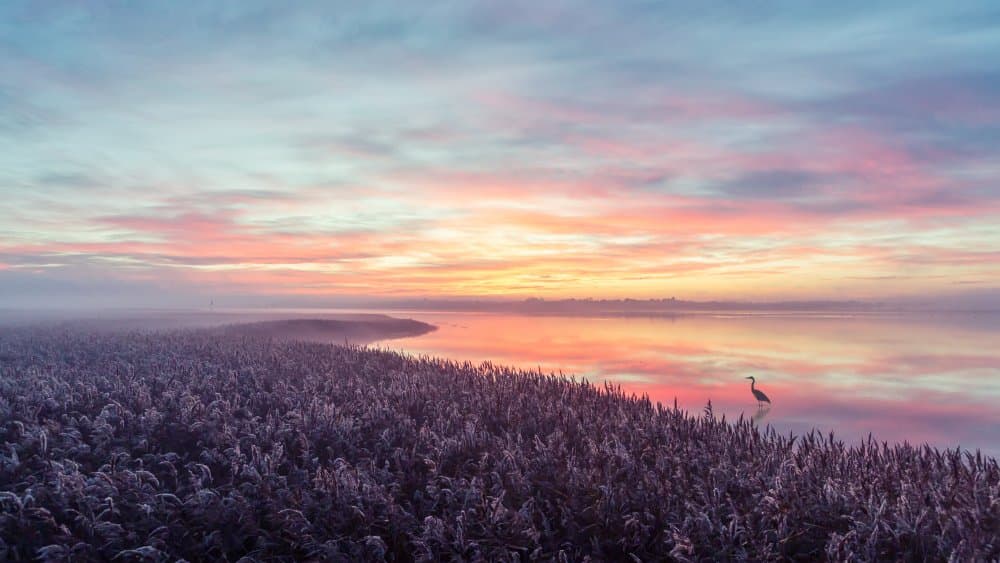 Colorful Dawn Reflection by Leif Løndal — canvas wall art