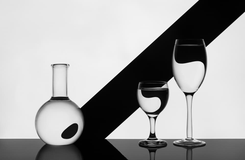 Black White Still Life by Jacqueline Hammer — canvas wall art