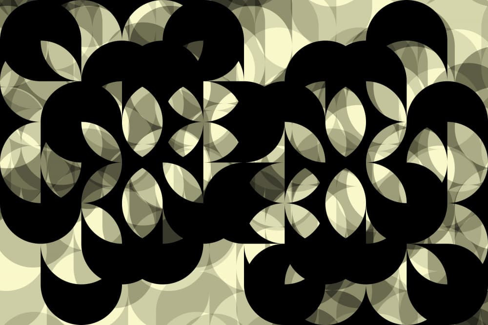 Elegant Geometric Curves by Petr Strnad — canvas wall art