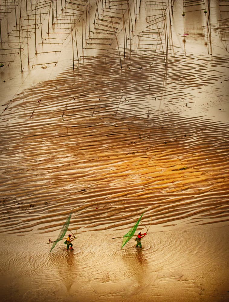 Tidal Flat Harvest by Angela Muliani Hartojo — canvas wall art