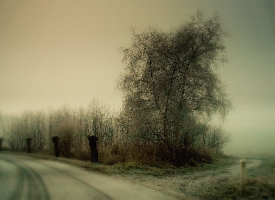 Misty Winter Road by Yvette Depaepe — canvas wall art