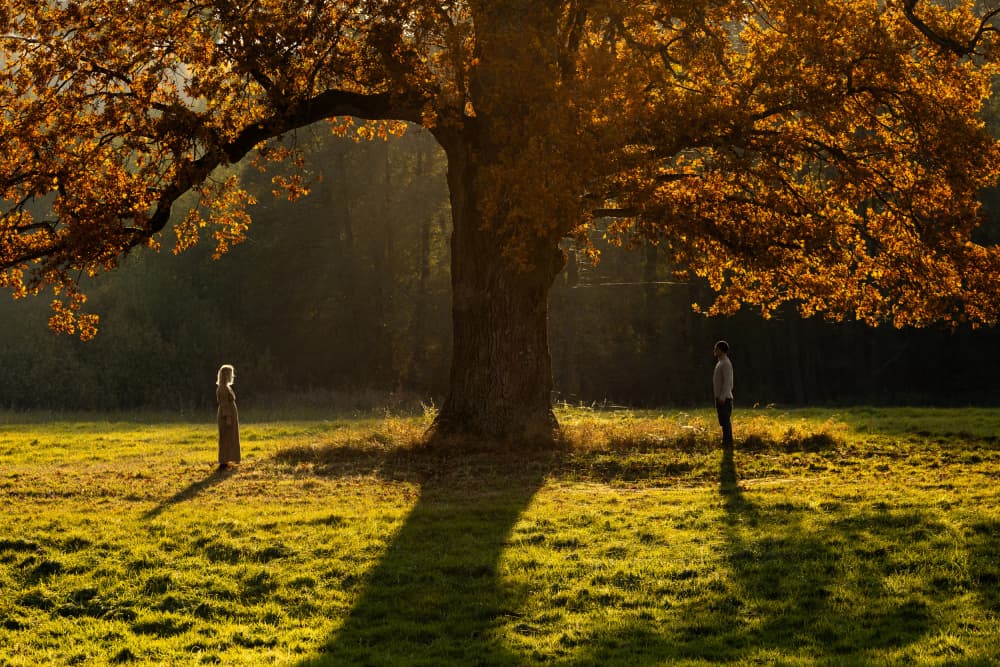 Golden Hour Oak And Figures by Leszek Paradowski — canvas wall art