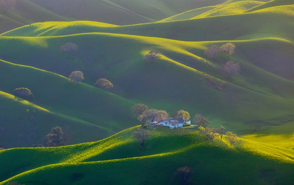 Sunlit Rolling Hills Home by Dianne Mao — canvas wall art