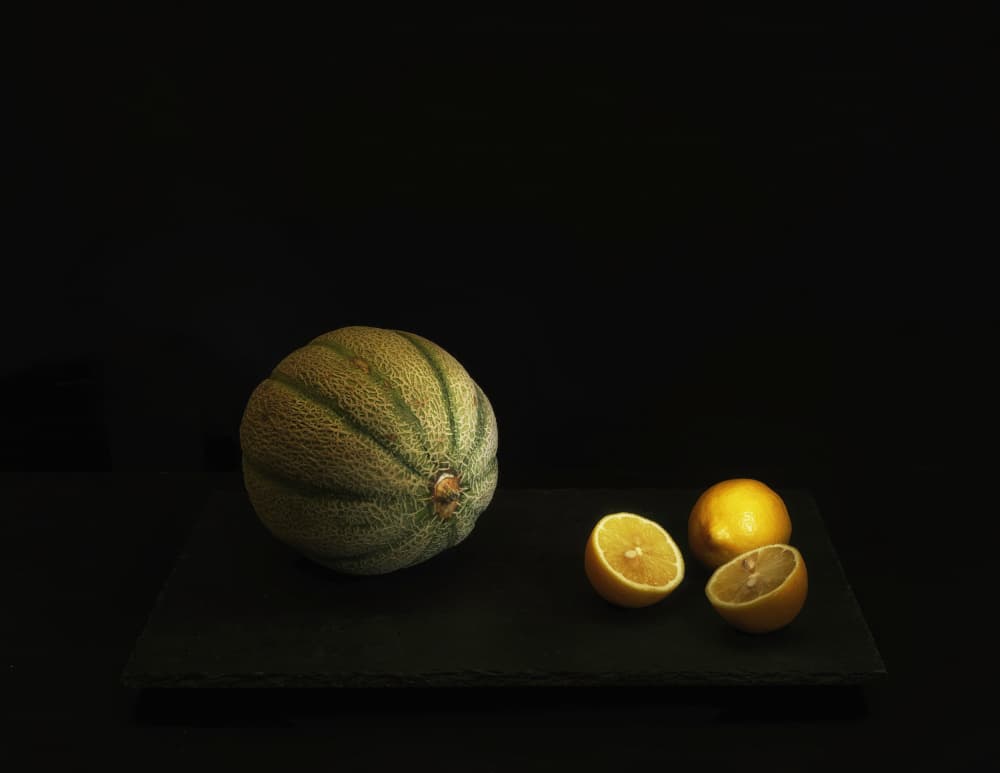 Moody Melon and Lemon by Saskia Dingemans — canvas wall art