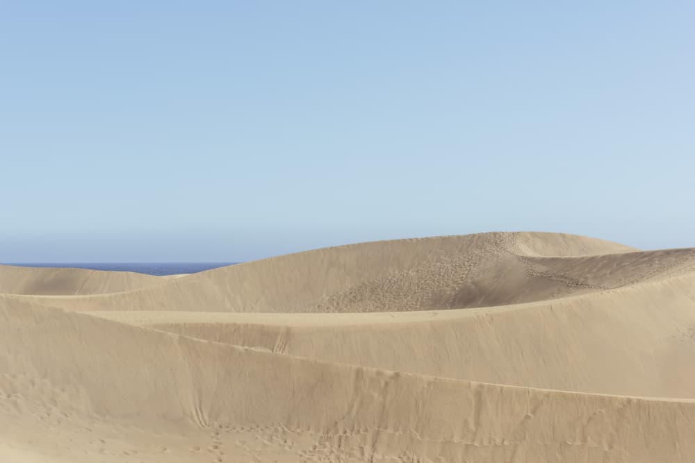 Desert Dunes Ocean View by Lynann Colligan — canvas wall art