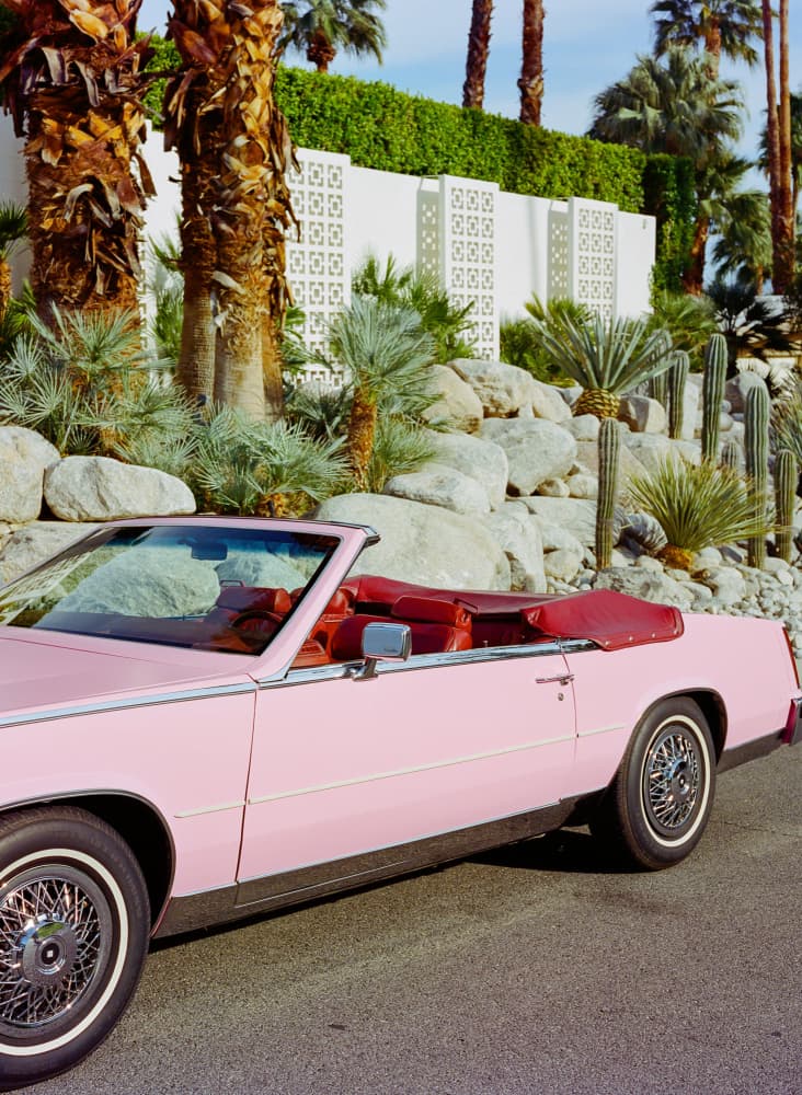 Pink Convertible Desert Style by Bethany Young — canvas wall art