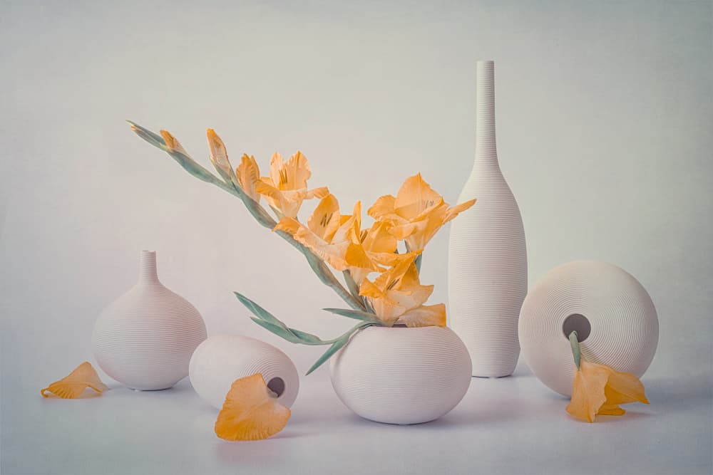 Yellow Blooms White Vases by Lydia Jacobs — canvas wall art
