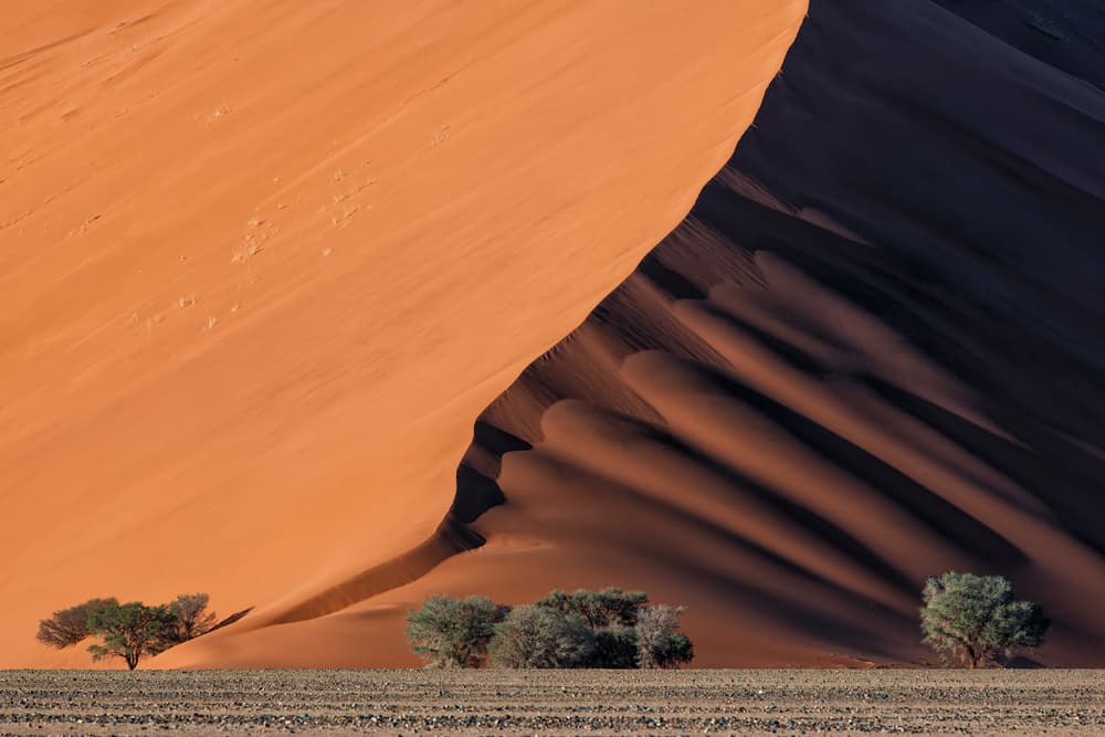 Golden Desert Shadows by Luigi Ruoppolo — canvas wall art