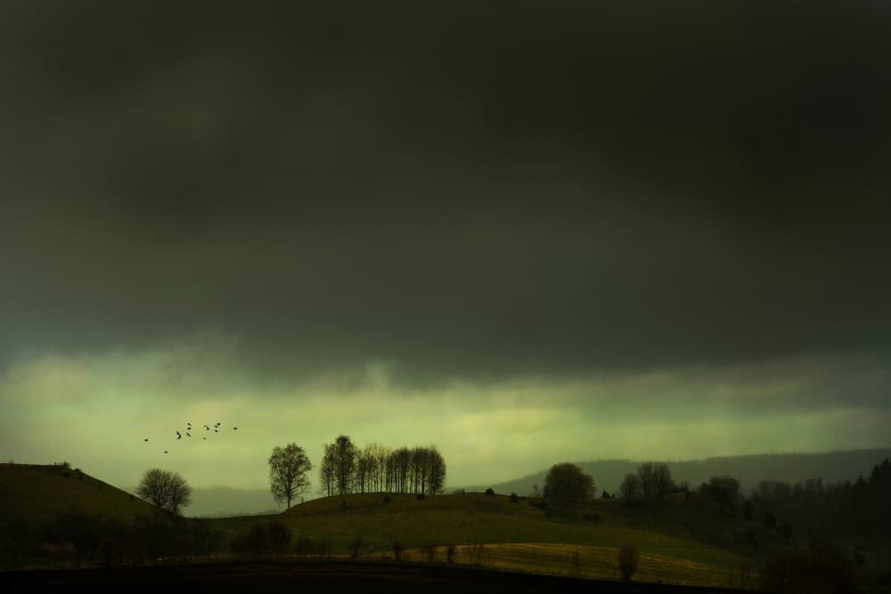 Moody Hills Birds by Clas Gustafson PRO — canvas wall art