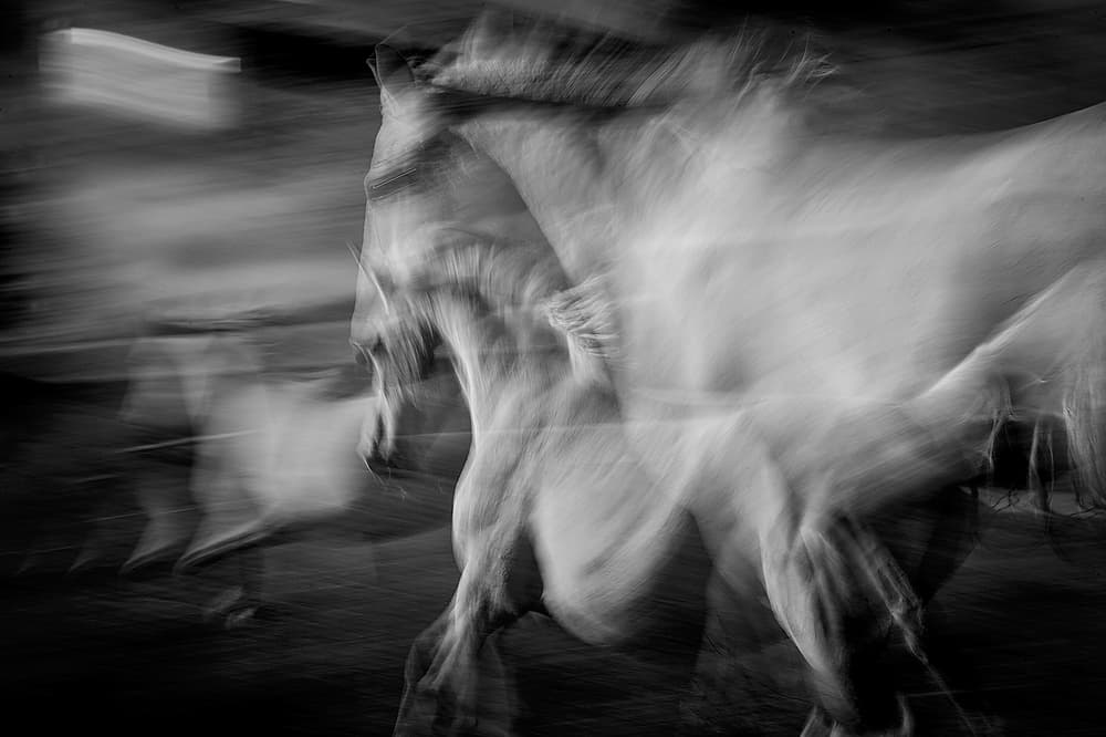 attack by Milan Malovrh — canvas wall art