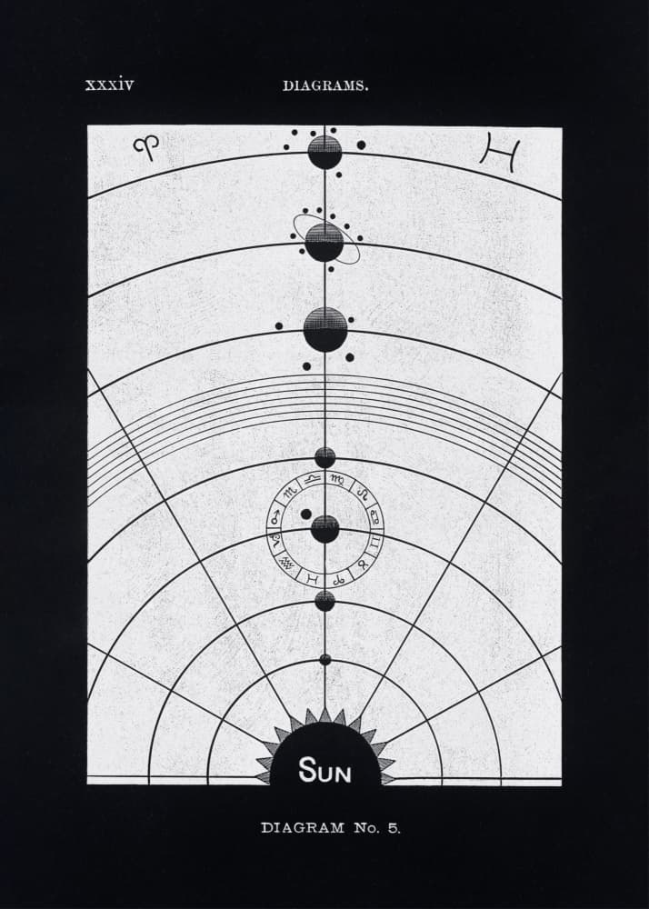 Solar Biology No. 5 Black (creative ed.) by Hiram Eratus Butler — canvas wall art