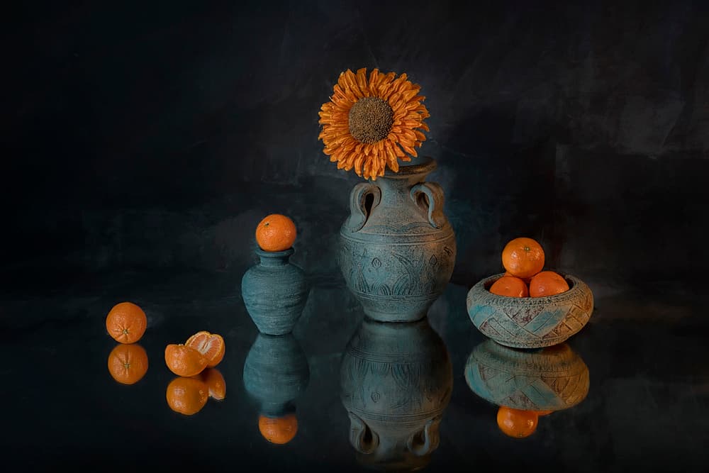 Vibrant Sunflower Mandarins by Lydia Jacobs — canvas wall art