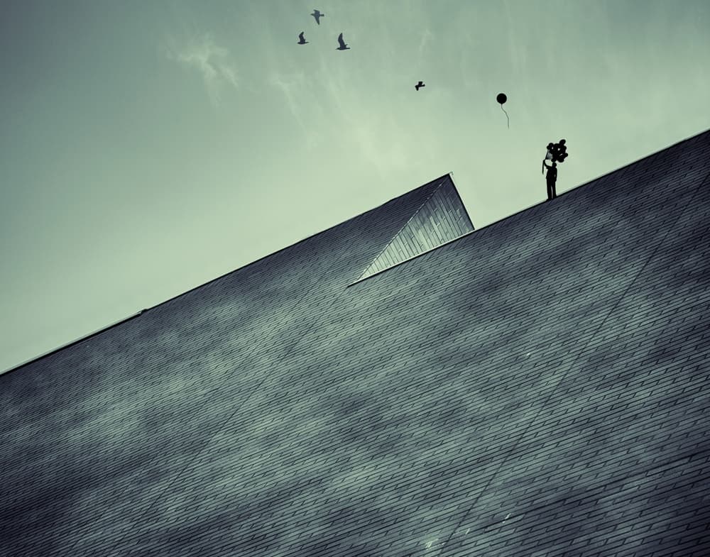 Rooftop Balloons and Birds by Roxana Labagnara — canvas wall art