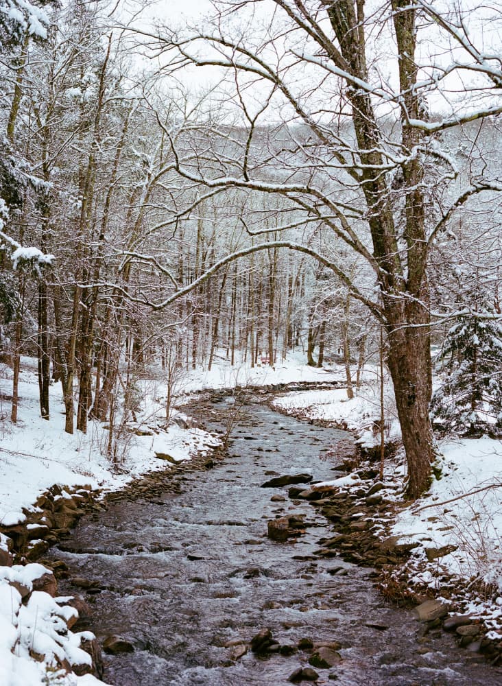 Snowy Forest Stream by Bethany Young — canvas wall art