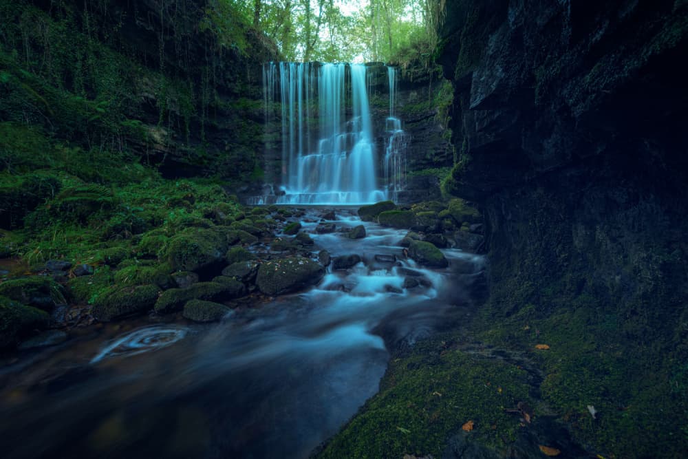 Enchanted Forest Waterfall by David Martin Castan — canvas wall art