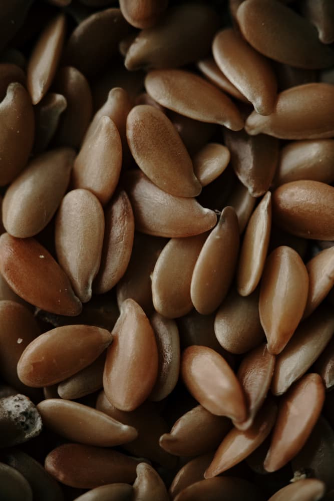 Golden Flax Seeds by Javier Pardina — canvas wall art