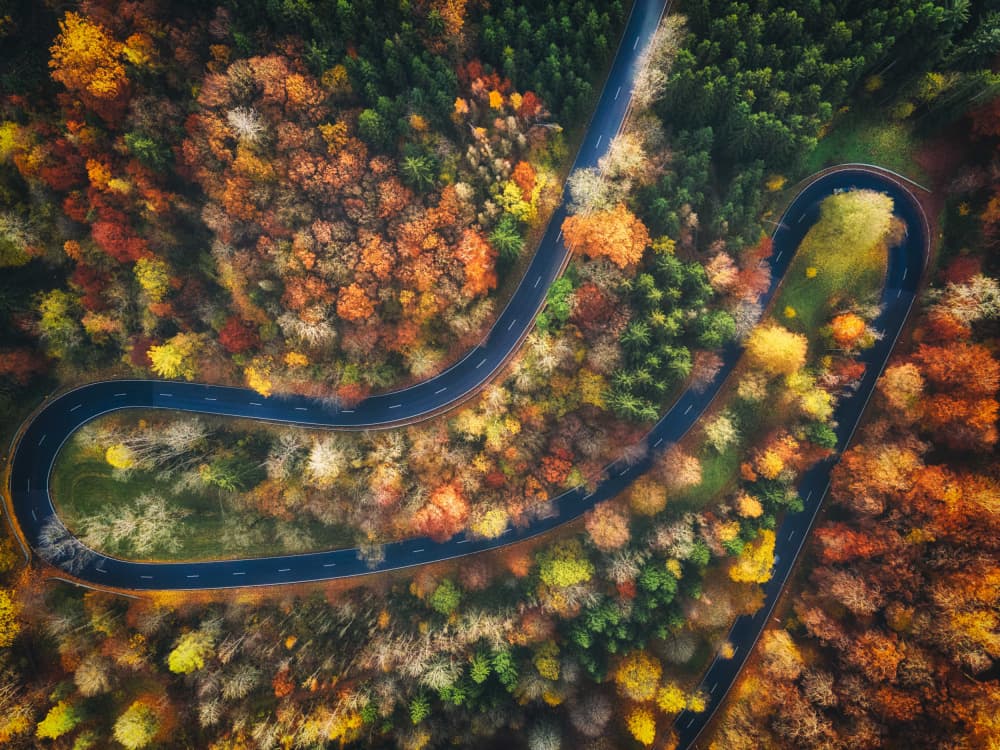 Winding Autumn Forest Road by Guy Krier — canvas wall art