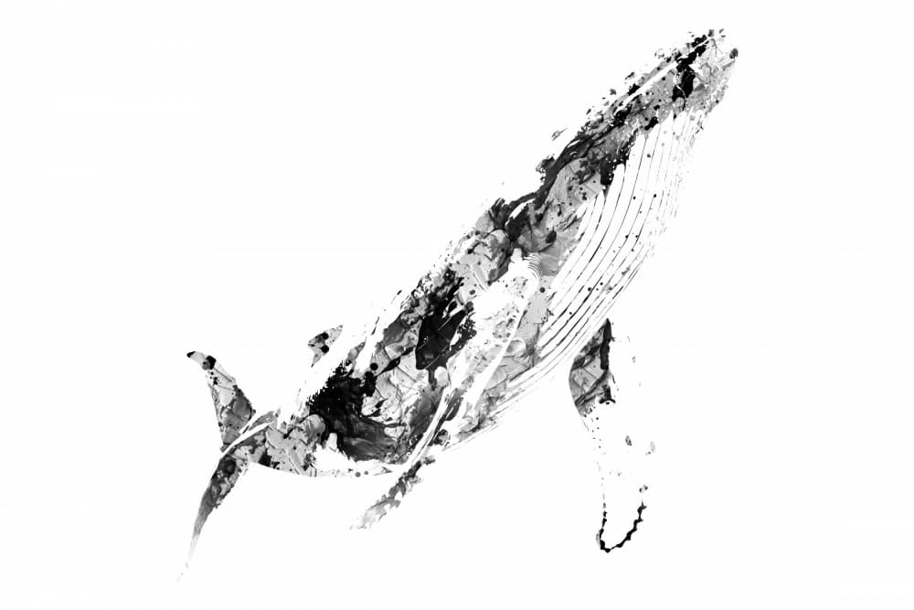 Abstract Humpback Whale by Rafal Kulik — canvas wall art