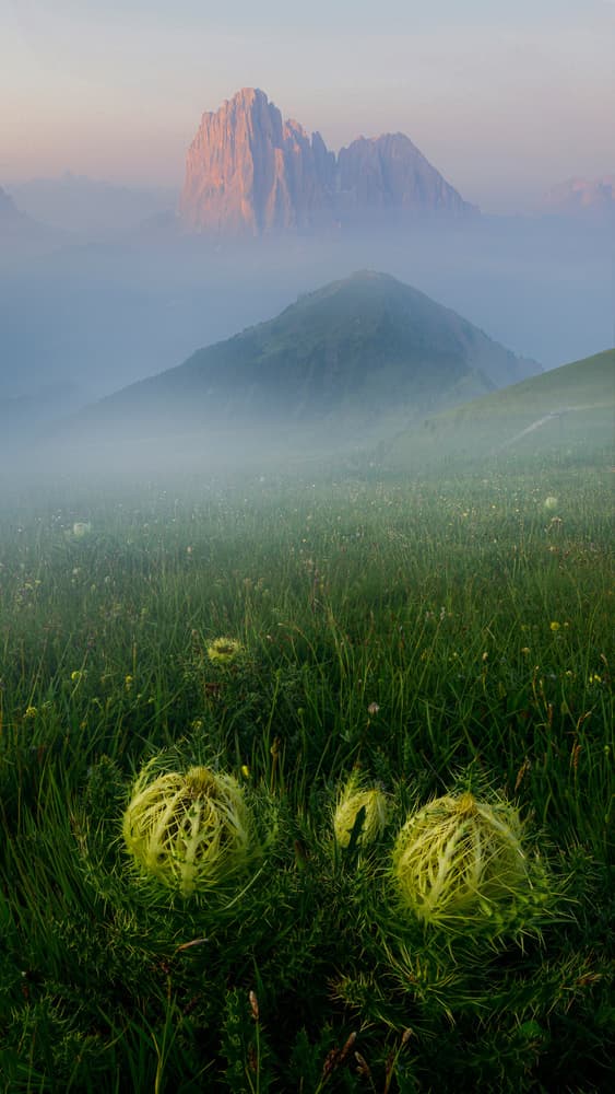 Misty Mountain Meadow by Simoon — canvas wall art
